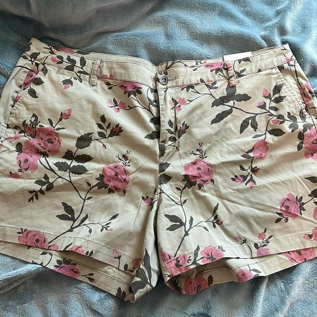 Brand New Lane Bryant Plus Size Shorts